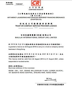 三、 代理注销香港公司的流程：系统化的操作指南