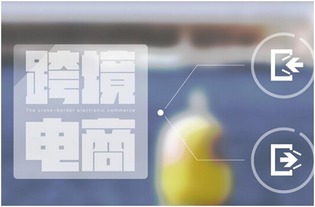 Zuo跨境电商就像养孩子，奶粉钱、学费、生活费一样不嫩少。费用主要分两大部分：启动成本和运营成本。