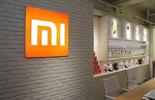 拼多多新品加入新品橱窗的优势