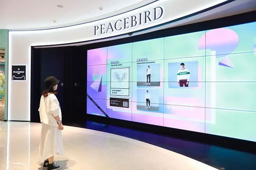 三、 天猫商品评价抓取及词频统计