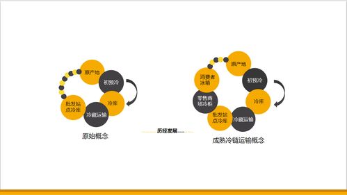 肉类食品冷链的发展