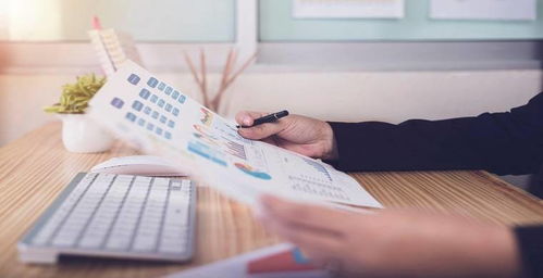 海外营销专员：跨国市场的桥梁