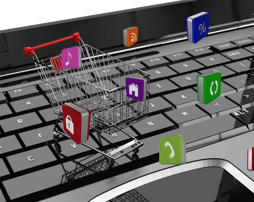 一、 亚马逊跨境电子商务B2C模式概述