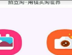 一、 手淘拍立淘流量概述