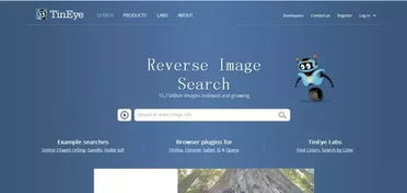 二、 TinEye在跨境电商中的应用