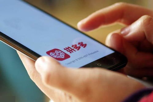 2. 网络连接问题