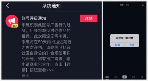 一、 对抖音蓝V与抖音小店的初步理解