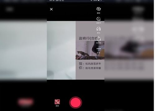 3. 注意拍摄角度