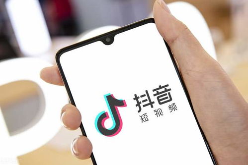 1. 物流体验权重占比