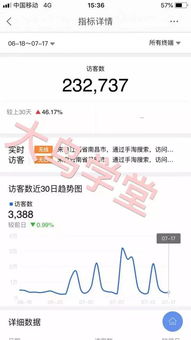 1. 巨大流量与商机并存