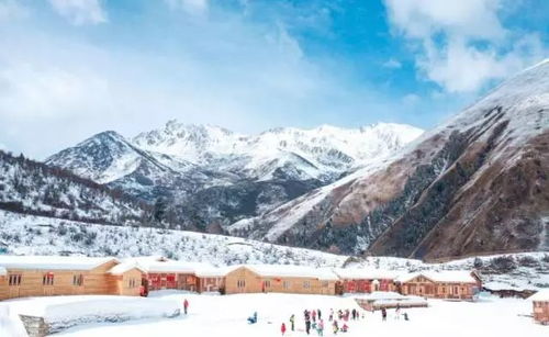 飞猪郑州文旅消费券发放四个档位