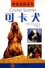 一、 神秘的可卡派仓库：跨境电商物流的新星