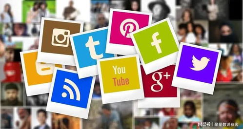2. 社交媒体