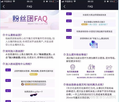 抖音广告形式与计费方式概述