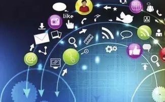 从零开始学自媒体运营， 揭秘行业内幕与成功秘诀