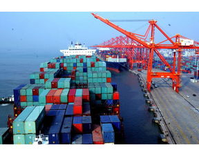 二、 出口货物的基