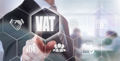 四、 欧罗巴联盟VAT税号与财务规划