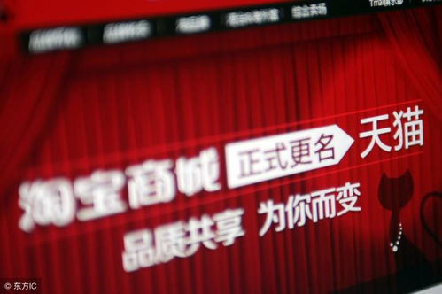 天猫店铺的初始投资：必缴费用一览