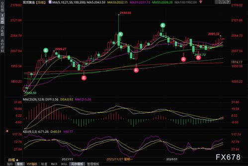 交易时间与结算方式