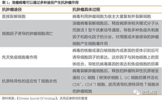 1. 丰富产品线， 满足市场需求