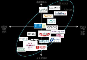 明确市场定位，打造差异化品牌