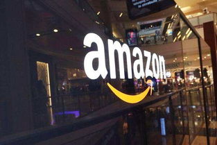 一、亚马逊无货源拍单软件概述