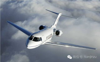 节日季发货的优化策略