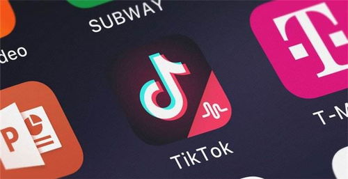 2. 平台物流（TikTok Shipping）