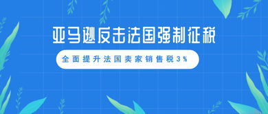 六、财务和税收