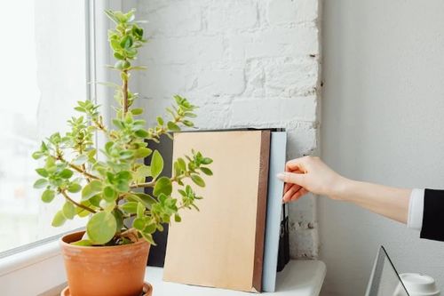 淘宝清明节是否有满减活动？