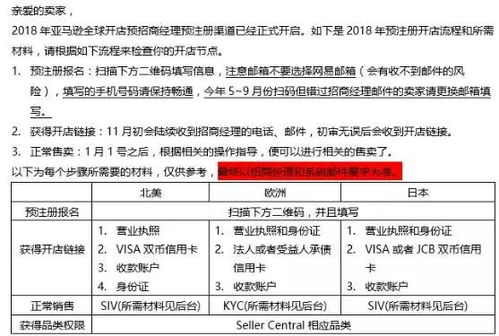 4. 预售价格策略