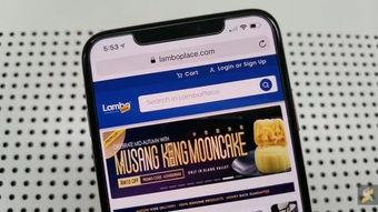 申请流程的第一步：提交详细的申请文件