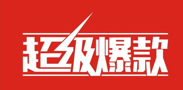 一、 精准的市场定位：奠定成功的基础