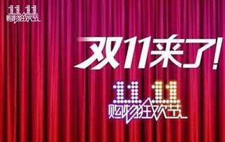 2. 双十一