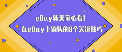 四、 全球销售计划：拓展市场，提升国际影响力