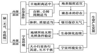 二、 申报阶段：精准信息，保障流程高效