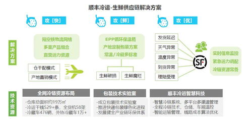 构建跨境FTL供应链体系的重要性与实施路径