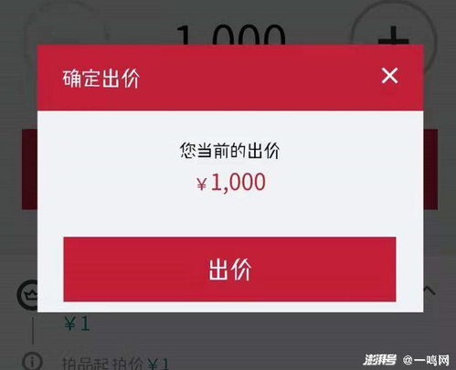 五、 设置加价幅度：控制拍卖进程