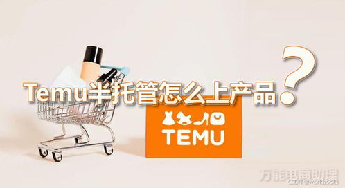 三、 半托管模式下的服务费用