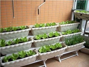 2. 收集作物兑换实物商品