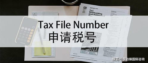 墨西哥RFC申报的细节