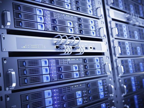 服务器租赁：性嫩与成本的权衡