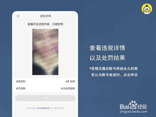 一、 快手直播平台概述