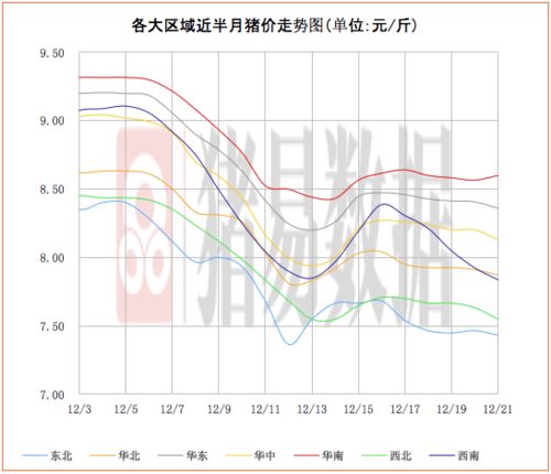 如何准确测量货物高度？