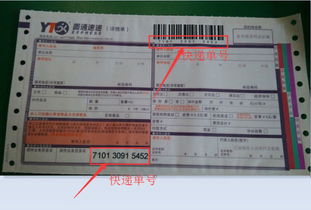 单号的价值需tong过物流追踪技术激活