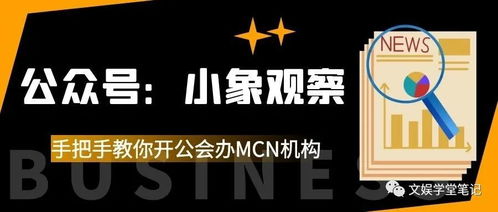 4. 直播团队与MCN机构