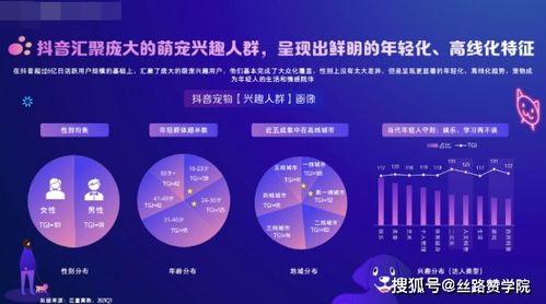 宠物用品：市场需求旺盛， 利润空间大