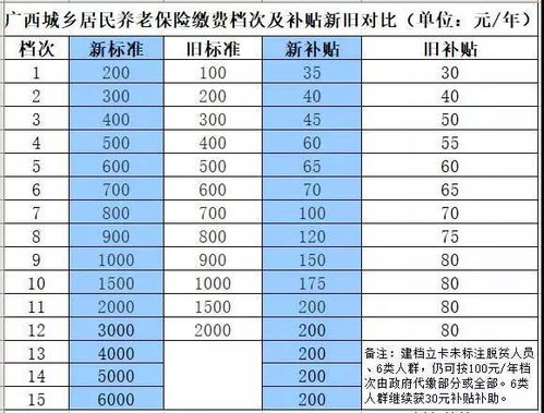 独立站主要费用构成