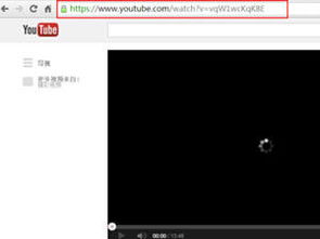 第三步：视频预览与下载