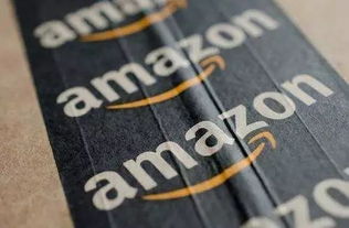 四、 应对亚马逊过剩库存的策略选择